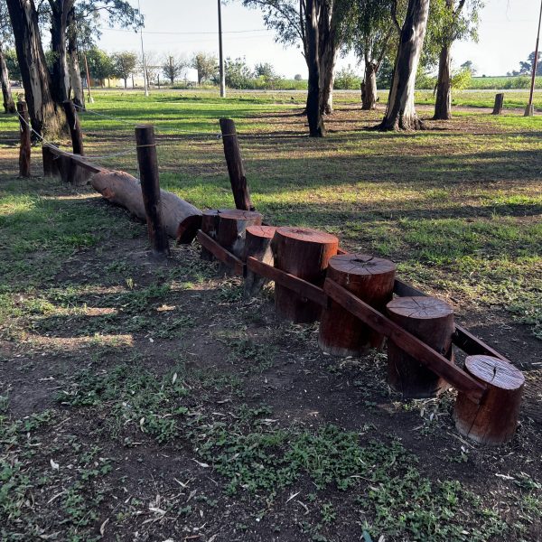 Plaza Circular
